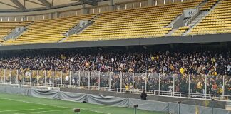 «Κιτρινόμαυρη» τρέλα στην ανοιχτή προπόνηση της ΑΕΚ (pics&vid)